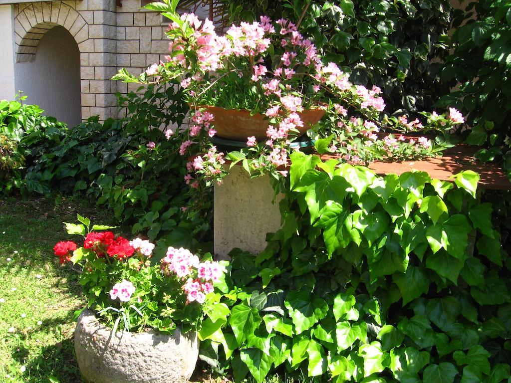 Guest House Caterina Poreč Exterior foto